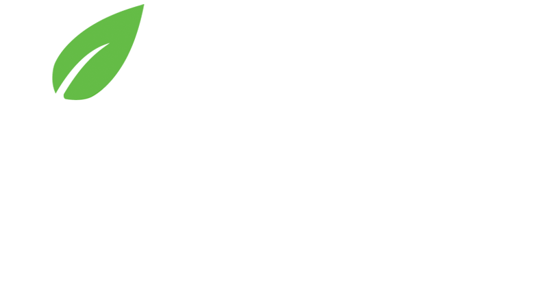 AEL Logo